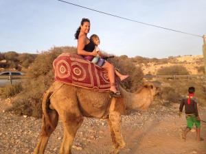 Camel Taxi in Morocco