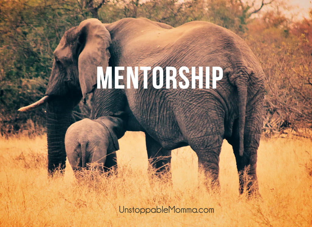 mentorship